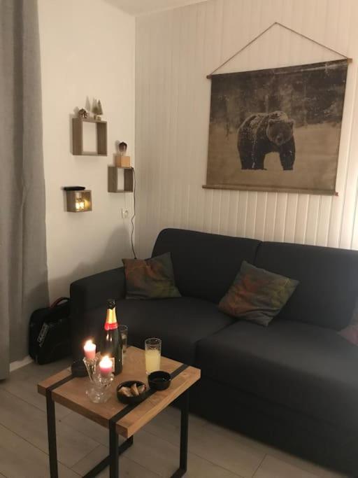 Appartement Aux Pieds Des Remontees Mecaniques Bagnères-de-Luchon Eksteriør billede