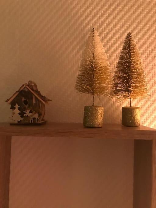 Appartement Aux Pieds Des Remontees Mecaniques Bagnères-de-Luchon Eksteriør billede