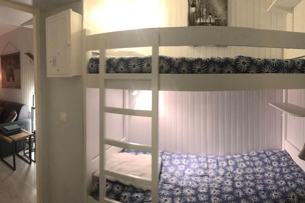 Appartement Aux Pieds Des Remontees Mecaniques Bagnères-de-Luchon Eksteriør billede